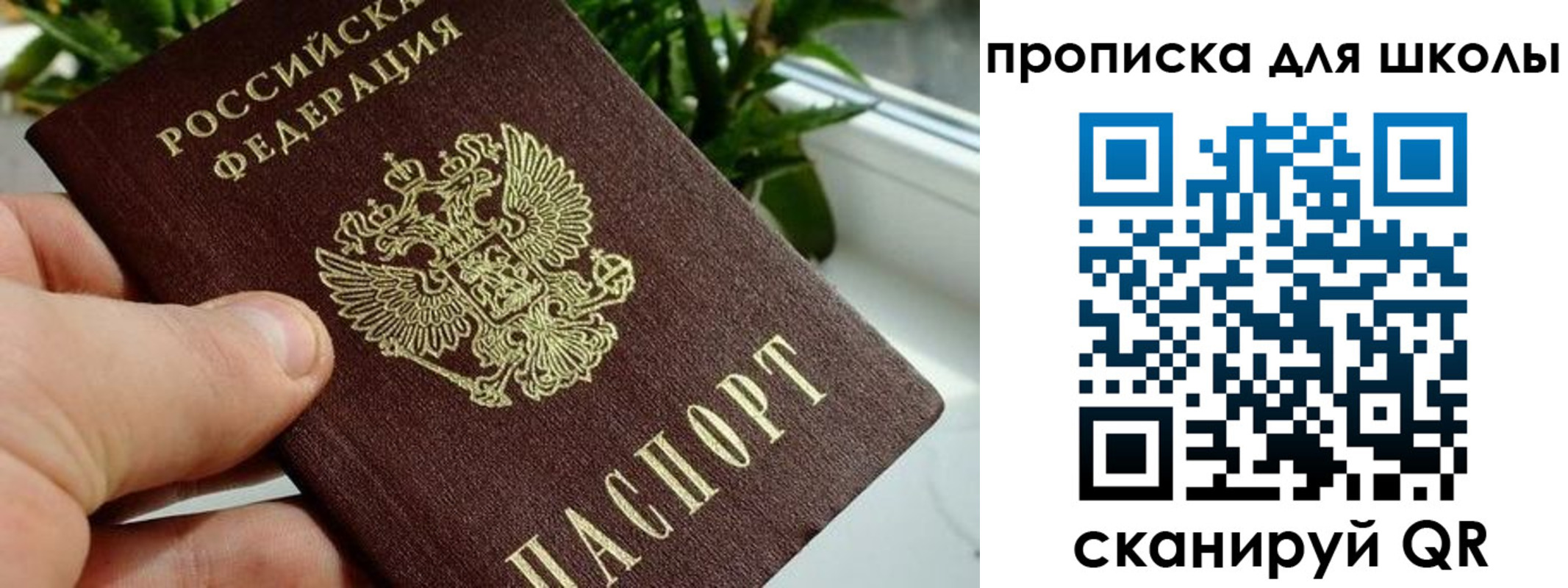 регистрация для дет. сада в Яхроме